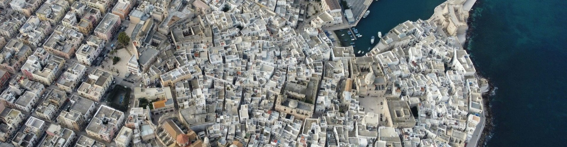 Monopoli, IT