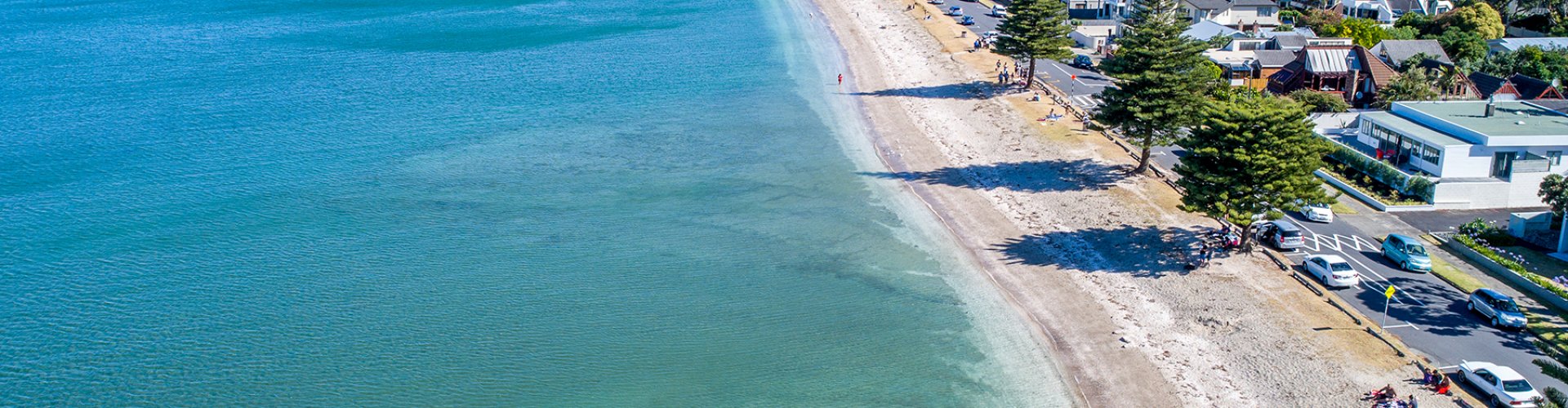 View over Auckland city and harbour