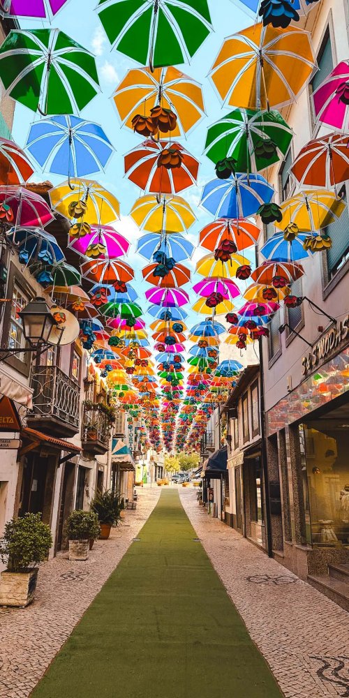 Aveiro streets and canals