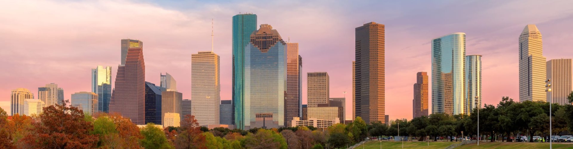 Houston skyline landscape