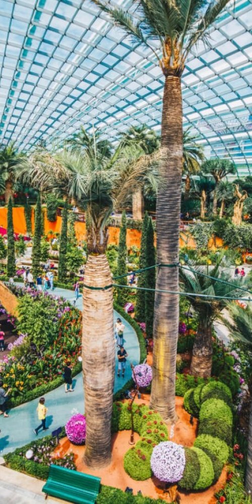 Alternative accommodations in Singapore