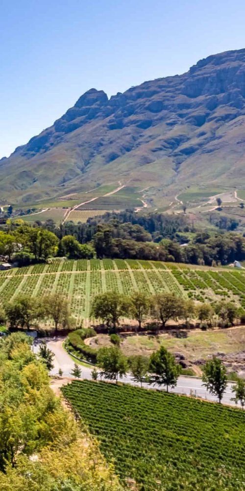 Stellenbosch alternative accommodations