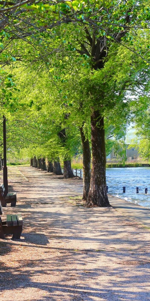 Coral Springs neighbourhood