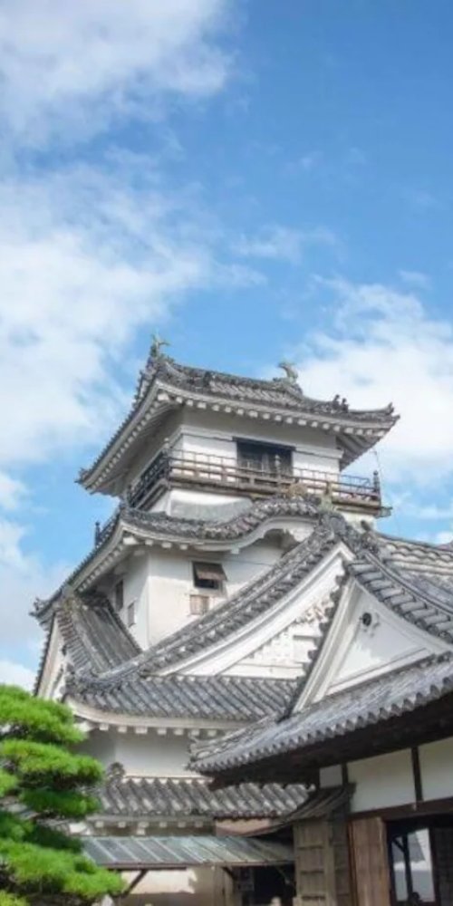 Alternative accommodation in Kochi