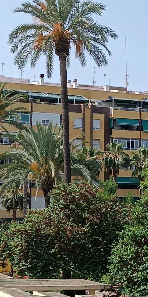 Alternative accommodations in Molina de Segura